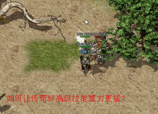 ����ô���SF�߼������������ͣ�