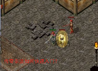 ����������ο������ţ�