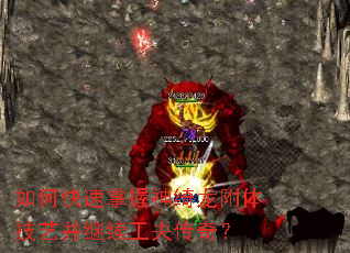 ��ο���������������弼�ղ����������棿