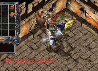 ��ο������������ʿ��