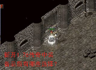 �¿�1.76������װ��Ʒ������Щѡ��