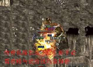 ����˽����ô���أ����ֱؿ���������׼���ȫ����