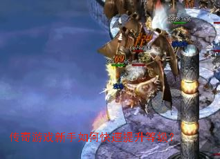 ������Ϸ������ο��������ȼ���