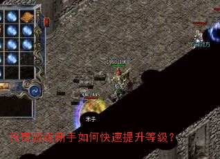 ������Ϸ������ο��������ȼ���