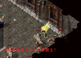 ���նħ������Ϊ���������