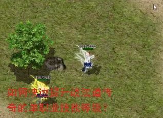 ��ο�������ս��������ĵ�ְҵ���ܵȼ���