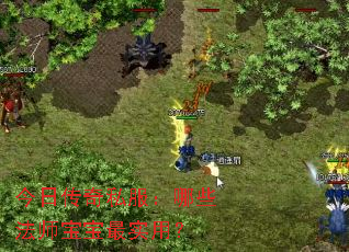 ���մ���˽������Щ��ʦ������ʵ�ã�