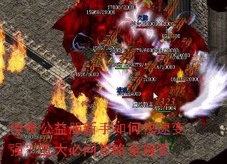 ���湫���������ο��ٱ�ǿ�������ʹ���ȫ���