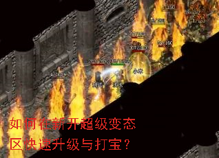 ������¿�������̬������������򱦣�