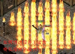 ��ο����������ߴ���˽����ɫս����