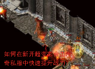 ������¿�����̬�ϻ�����˽���п�������ս����