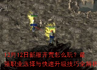 12��12���·�������ô�棿��ǿְҵѡ���������������ȫ����