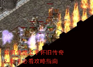 ��ο������ֻ��ɴ��棿���ֱؿ�����ָ��