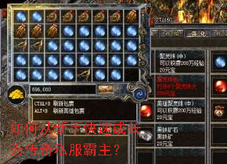 ��δ����ֿ��ٳɳ�Ϊ����˽��������