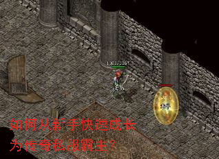 ��δ����ֿ��ٳɳ�Ϊ����˽��������