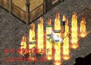 ������ο������ָ��ű�̬����˽����