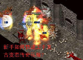 ������ο������ָ��ű�̬����˽����