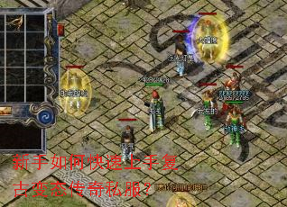 ������ο������ָ��ű�̬����˽����