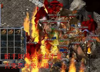 ������ο������ָ��ű�̬����˽����