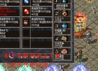 ������ο������ָ��ű�̬����˽����