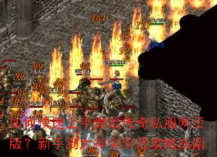 ��ο�������ԭʼ����˽����ҳ�棿���ֵ�����ȫ�׶ι���ָ��