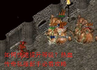 ��ο��������ȼ�����Ѫ����˽�����ֱؿ�����