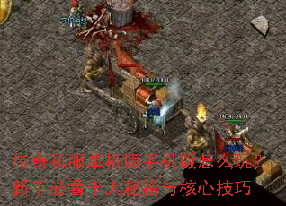 ����˽���������ֻ�����ô�棿���ֱؿ�ʮ���ؼ�����ļ���