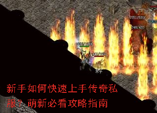 ������ο������ִ���˽�������±ؿ�����ָ��