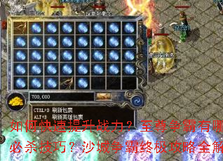 ��ο�������ս����������������Щ��ɱ���ɣ�ɳ�������ռ�����ȫ����