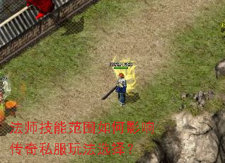 ��ʦ���ܷ�Χ���Ӱ�촫��˽���淨ѡ��