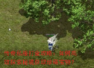 ����˽������ԣ���θ�Ч̽���ؾ���ȡ��ϡ���