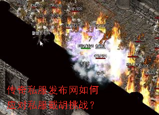 ����˽�����������Ӧ��˽���غ���ս��