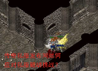 ����˽�����������Ӧ��˽���غ���ս��