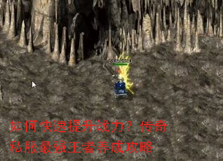 ��ο�������ս��������˽����ǿ�������ɹ���