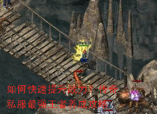 ��ο�������ս��������˽����ǿ�������ɹ���