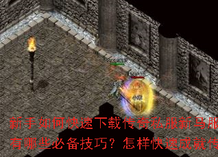 ������ο������ش���˽������������ɳ�Ƶ�����Щ�ر����ɣ��������ٳɾʹ����ҵ��