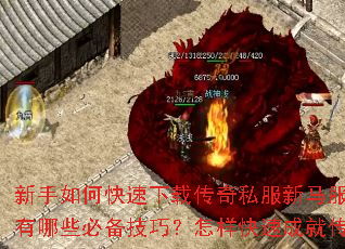 ������ο������ش���˽������������ɳ�Ƶ�����Щ�ر����ɣ��������ٳɾʹ����ҵ��