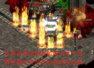 ����˽�����������ѡ�������Ѫ������Ϸ�����ռ�ָ��