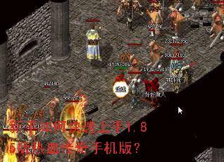 ������ο�������1.85����Ѫ�����ֻ��棿