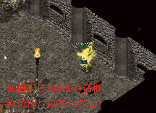 ���Ϊ����NPC�Ի�������ͼƬ���������棿