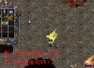 ������ο������ֱ�̬����˽����99��