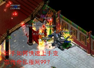 ������ο������ֱ�̬����˽����99��