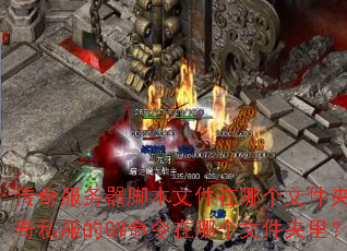 ����������ű��ļ����ĸ��ļ��У�����˽����GM�������ĸ��ļ����