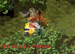 ������ο������ִ���˽����