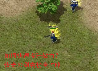 ��ο�������ս�������湫��԰�ȫ����