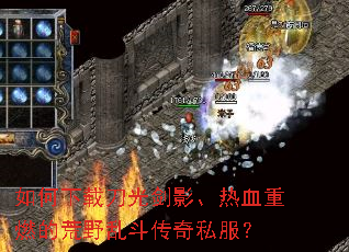 ������ص��⽣Ӱ����Ѫ��ȼ�Ļ�Ұ�Ҷ�����˽����