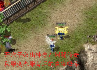 �����ӱس����������ش���˽����̬���������ʵ����