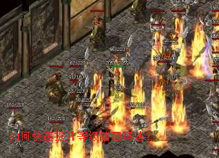 ��ο��������ȼ�̤���귨��