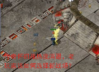 ���滳�ɷ��ȶ����ˣ�����Ҹ����ѡ����ս����