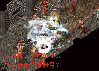 �����ѡ���Լ۱ȵ�ǿ������˽���˺ţ�